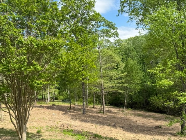 After: Overgrown brush cleared to open land